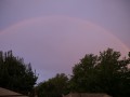 0219-1940 Rainbow (1010957)